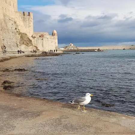 Apartamento Et Son Parking Privatif Gratuit Collioure