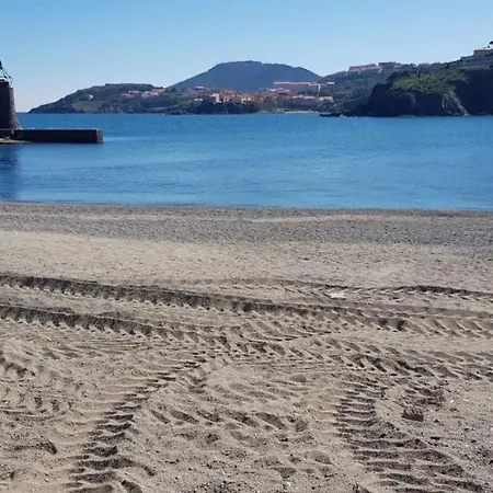 Et Son Parking Privatif Gratuit Apartamento Collioure