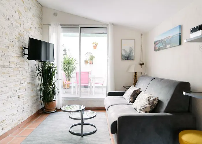 Apartment Et Son Parking Privatif Gratuit Collioure